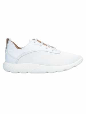 Timberland Sneakers