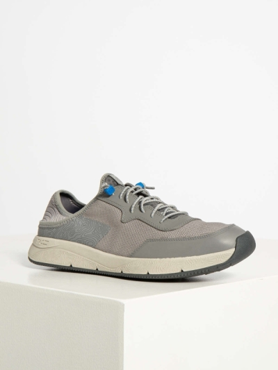 Clarks Sneaker, Davis Low